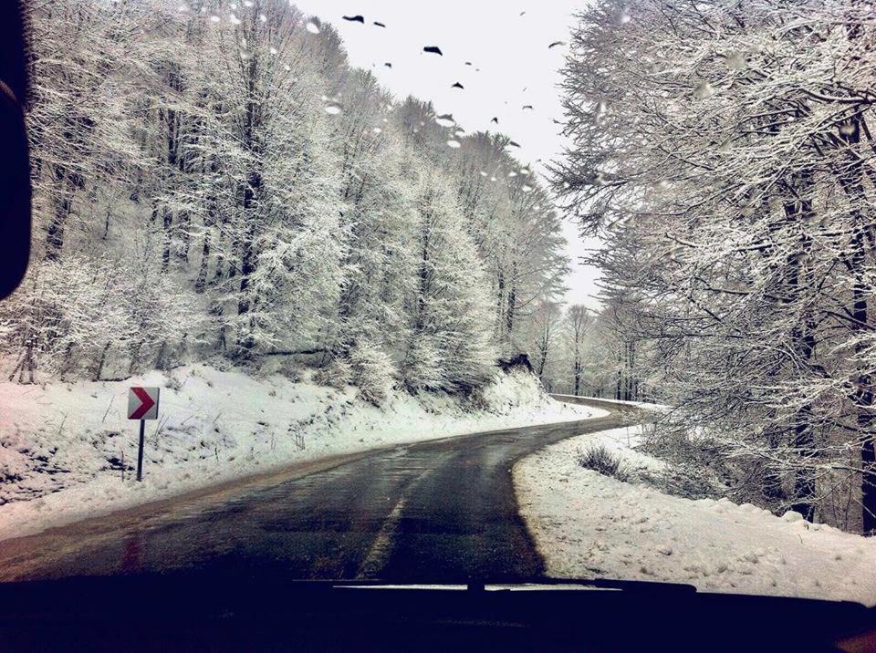 Taş Konak Butık Otel Ordu Dış mekan fotoğraf